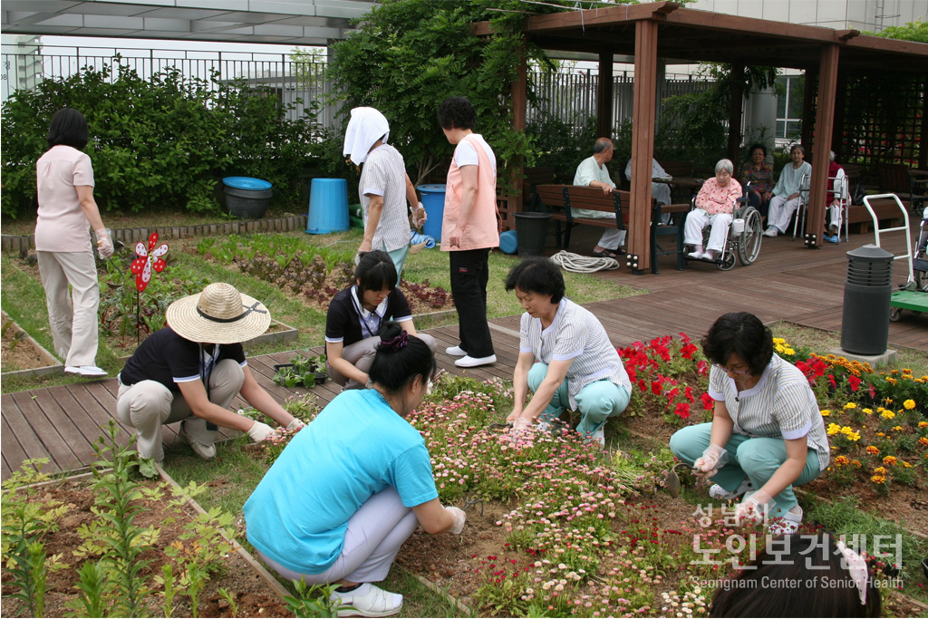 텃밭1.JPG