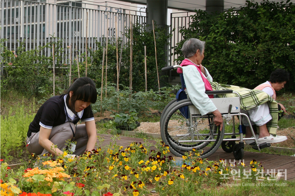 텃밭5.JPG