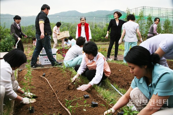 5.11.텃밭016.JPG