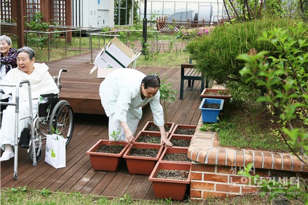 5.12.텃밭032.JPG