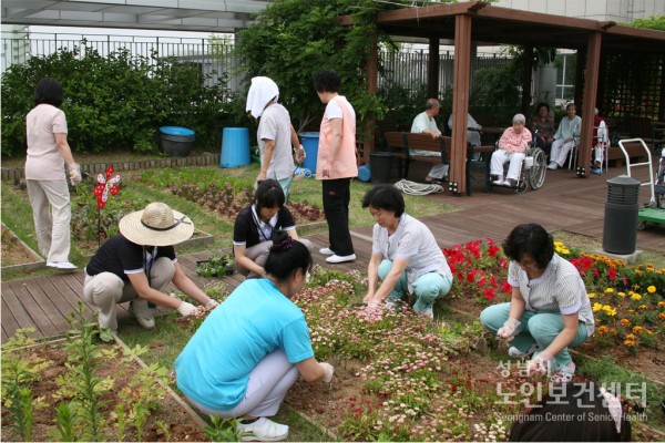 텃밭1.JPG