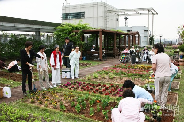 5.11.텃밭007.JPG