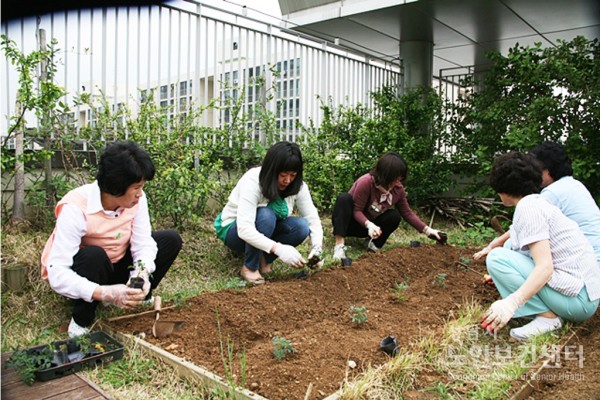 5.12.텃밭043.JPG