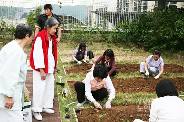 5.12.텃밭014.JPG