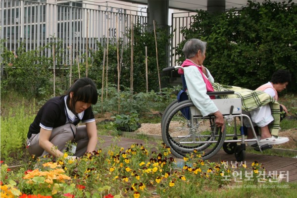 텃밭5.JPG